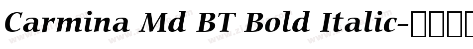 Carmina Md BT Bold Italic字体转换